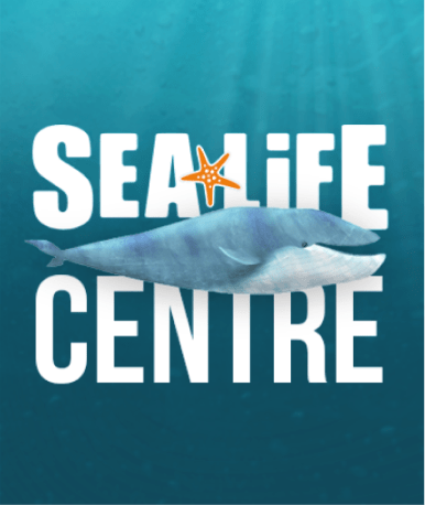 Sea Life Centre" text with a starfish in place of the letter "A" against a blue underwater background. A large blue whale is illustrated, swimming horizontally across the center of the text.