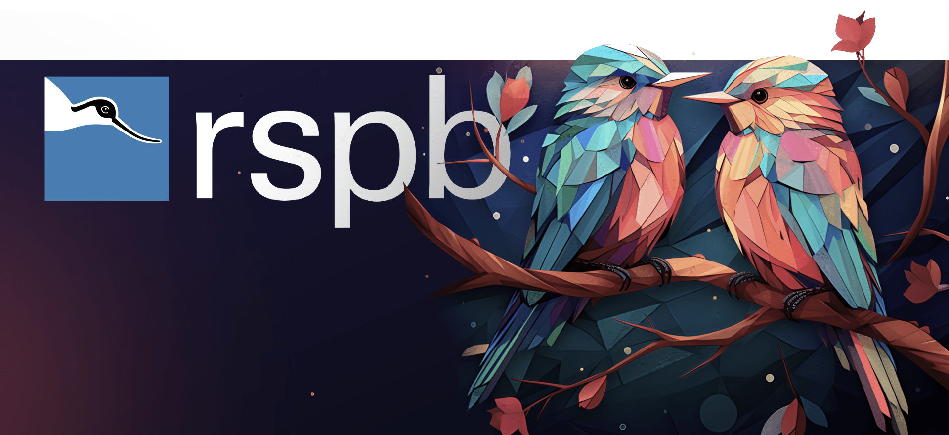 Illustration of two colorful, geometric birds perched on branches, with the RSPB logo on the left side. The background is dark with scattered leaves, emphasizing the vibrant birds.