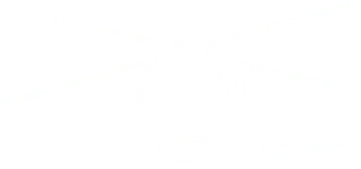 Silhouette of a helicopter with prominent rotor blades against a solid background, ideal for use as an animated video example.