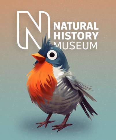 Illustration of a bird with vibrant orange feathers on its chest, blue and gray feathers on its body, standing against a gradient background. The text "NATURAL HISTORY MUSEUM" appears beside a large stylized "N" at the top right, reminiscent of an animated video service logo.